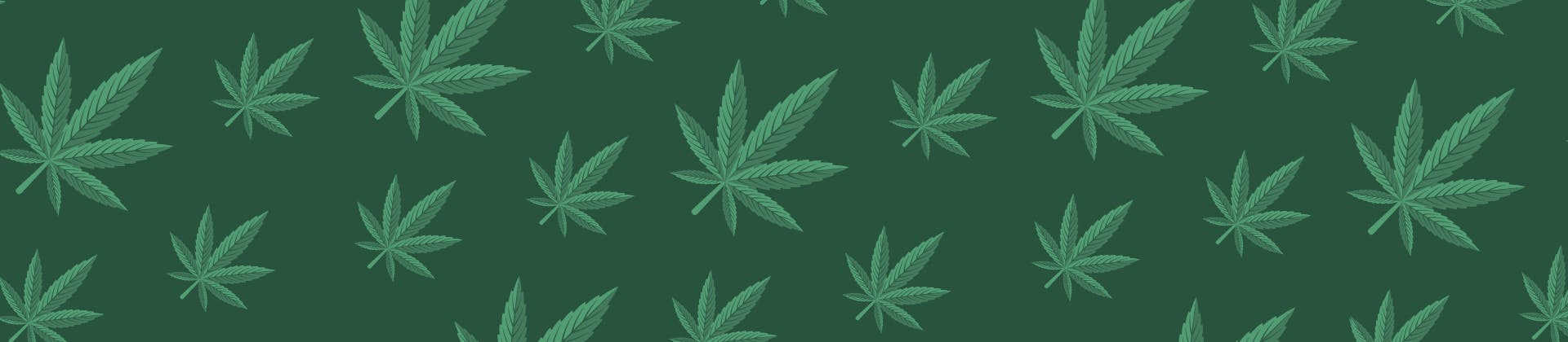 Gushers (aka Fruit Gushers, White Gushers) Weed Strain Information