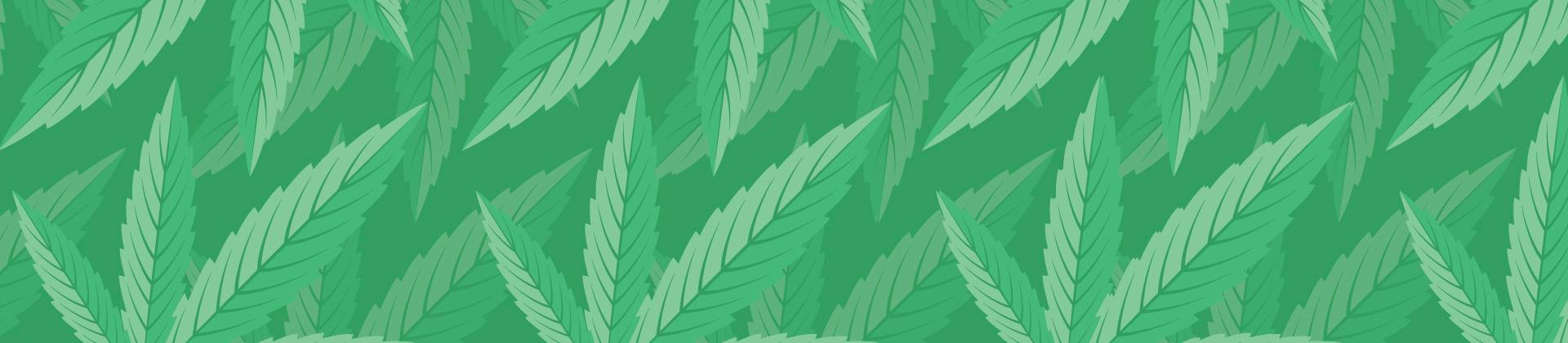 Fallen Angel Weed Strain Information | Weedmaps