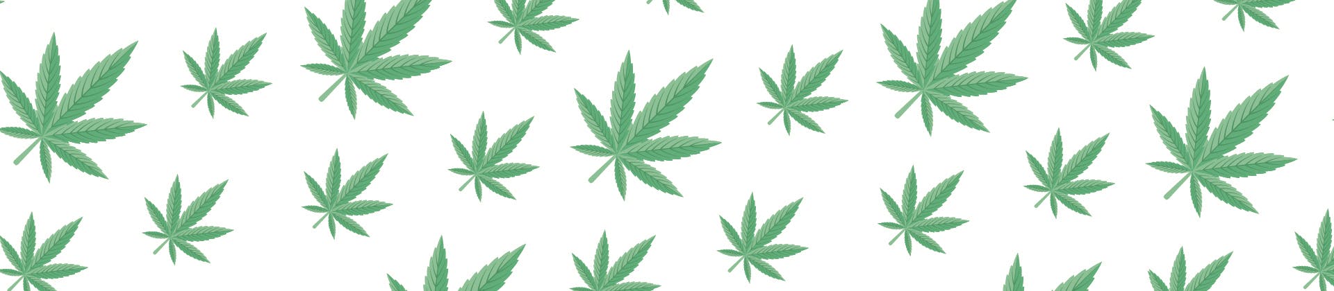 Funfetti Weed Strain Information Weedmaps