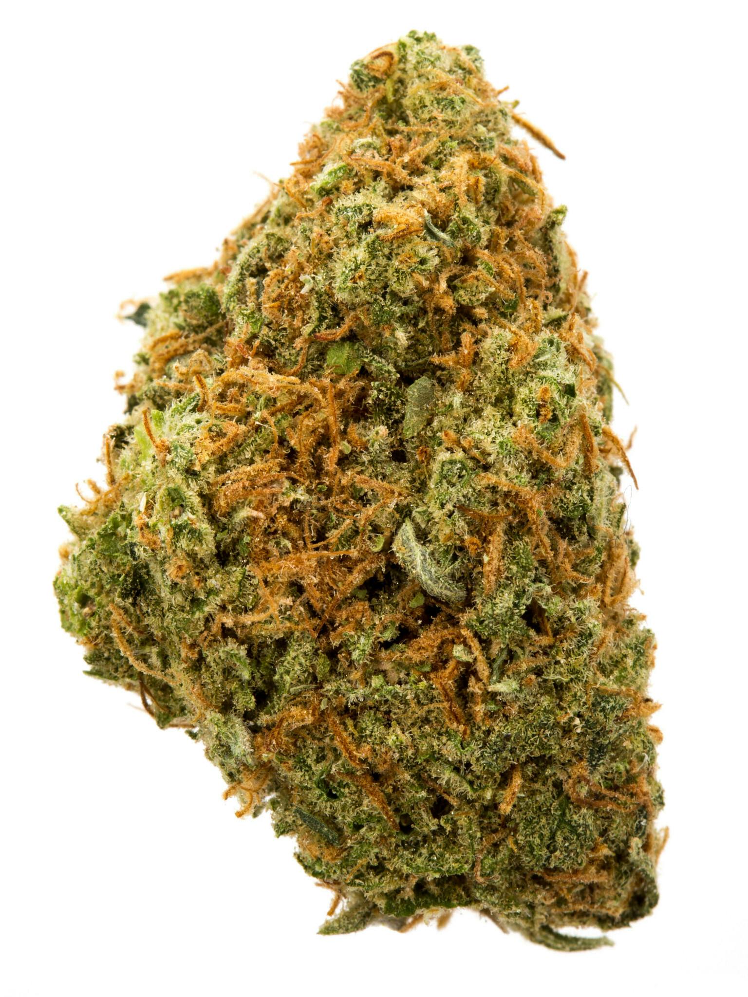 Space Bomb Weed Strain Information | Weedmaps