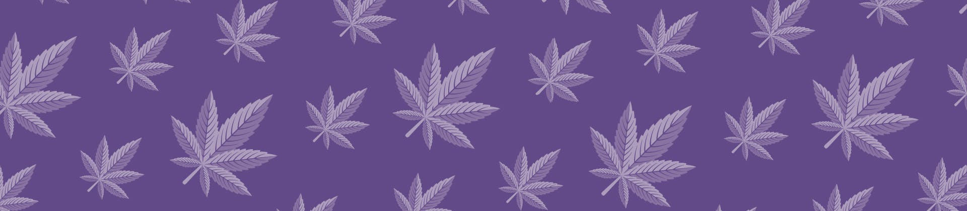 Duct Tape Weed Strain Information Weedmaps