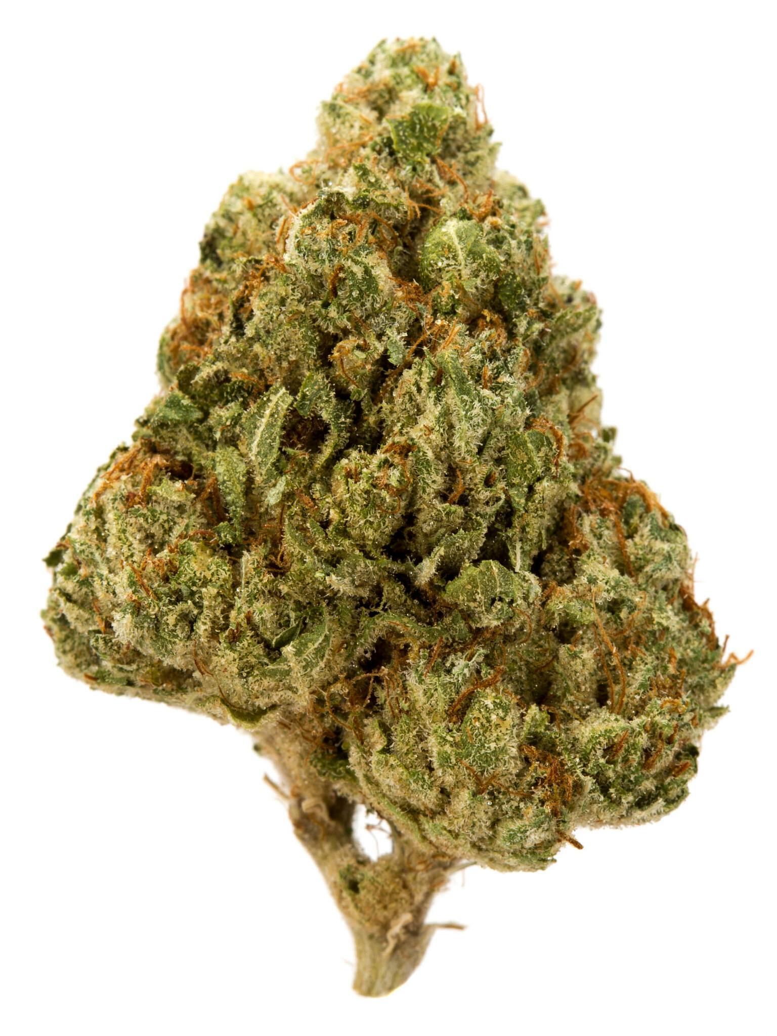 けんや 707 Kush Weed Strain Information | Weedmaps