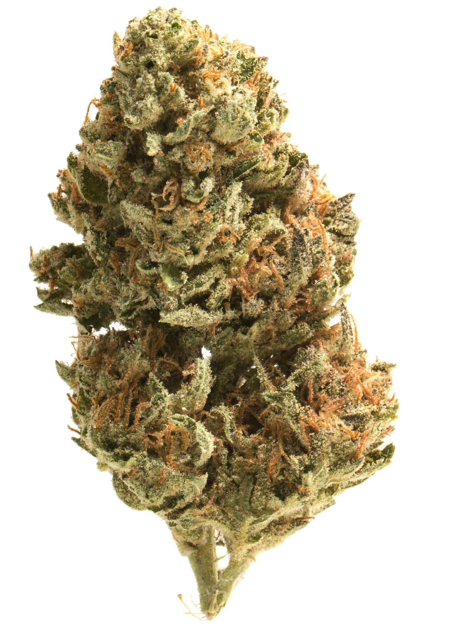 【Gangster】THXE 40% LIVELINE-OG KUSH＋1ml Original Z x OG Strain - Hybrid Cannabis Review, 35.54% THC
