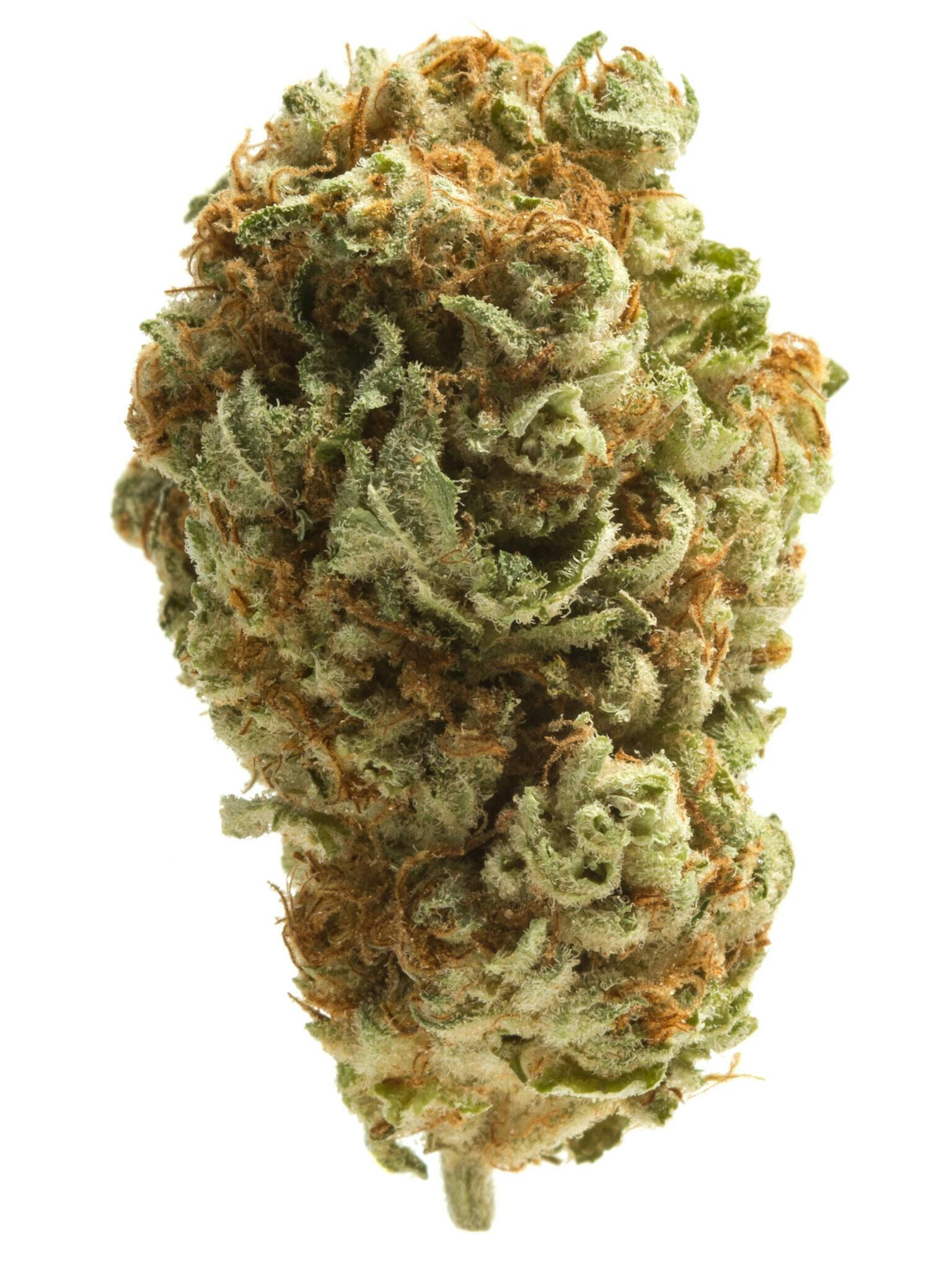Pina Colada Weed Strain Information Weedmaps
