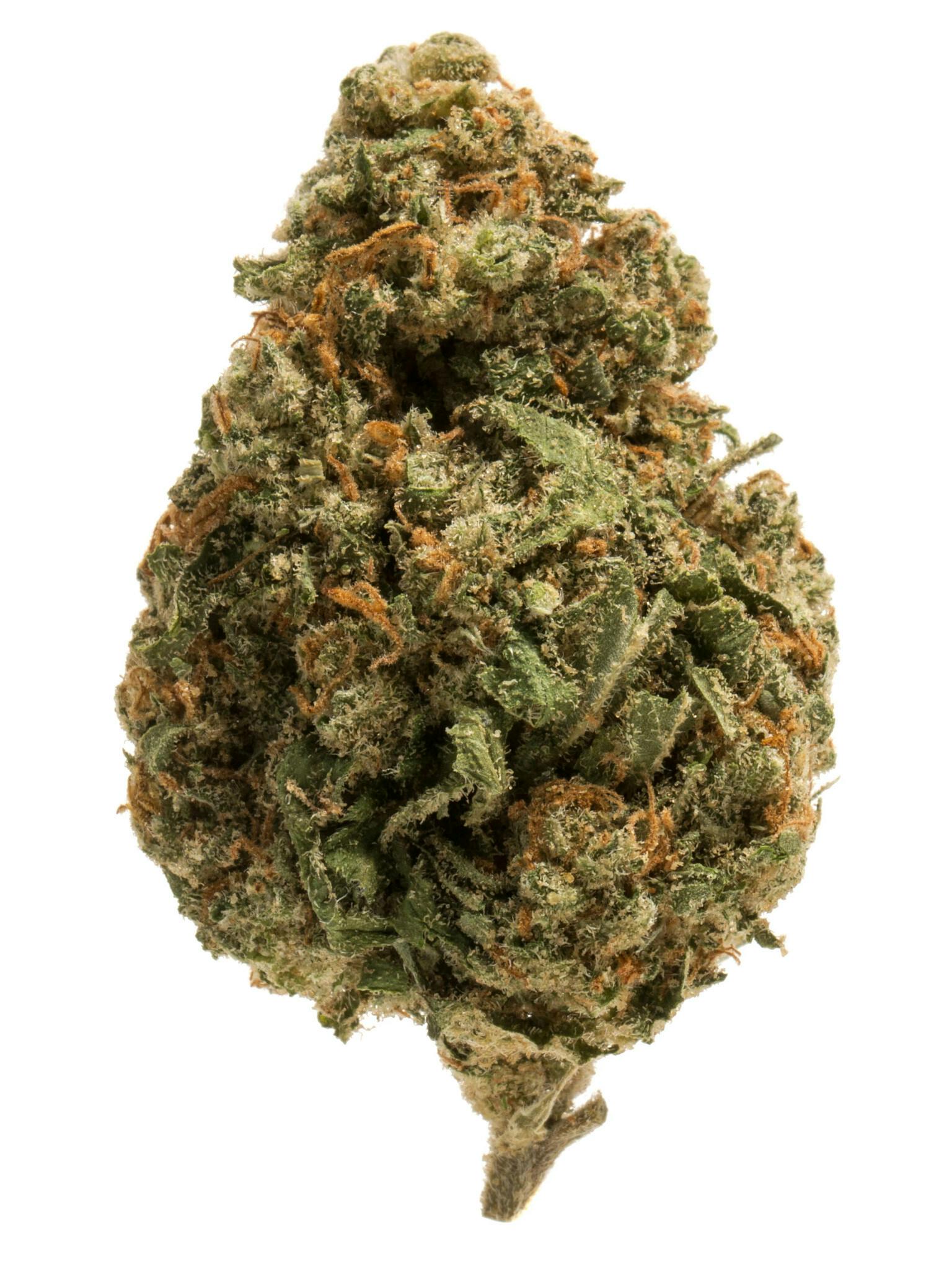 Blue Agave Weed Strain Information | Weedmaps