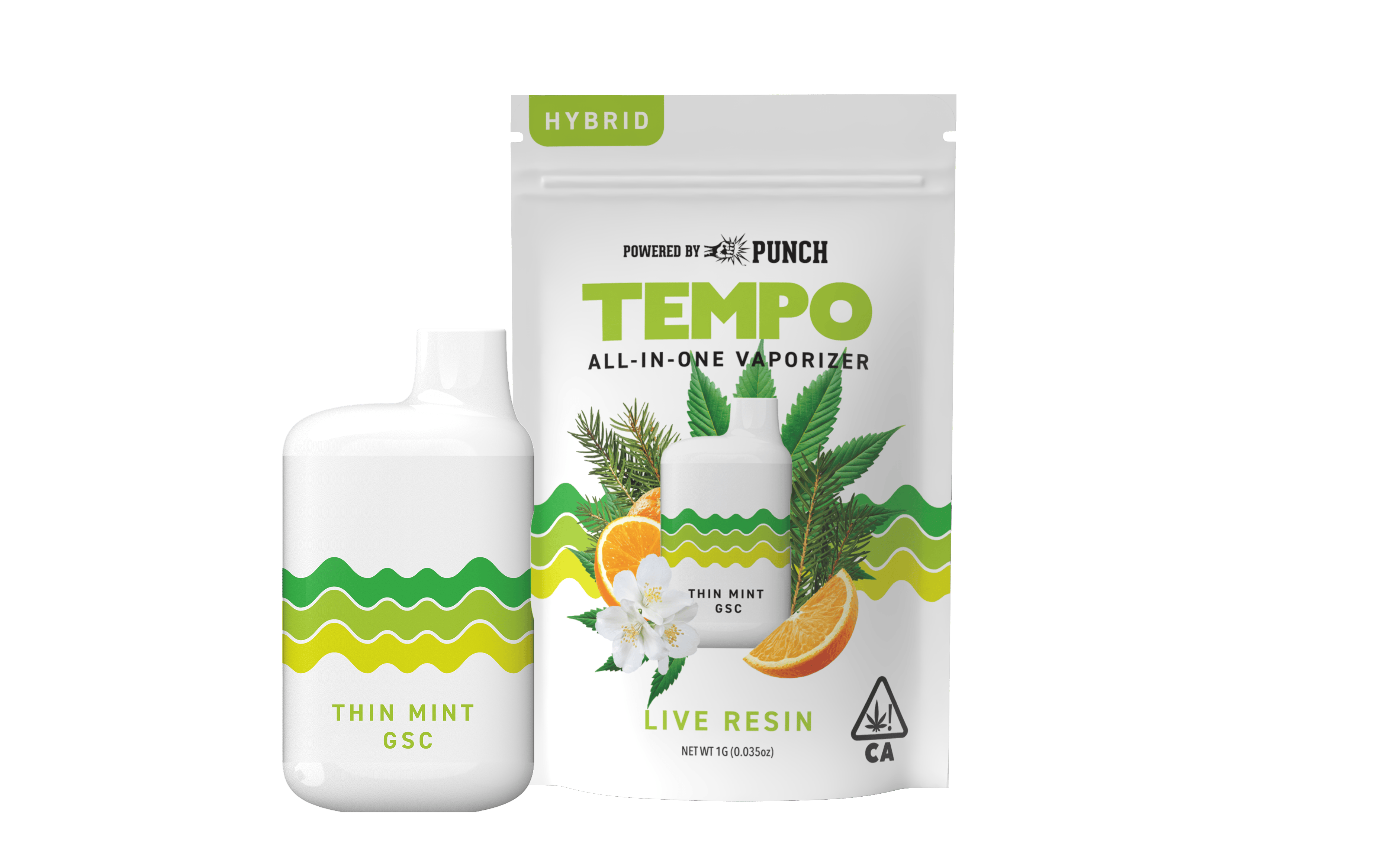 Tempo | Thin Mint GSC | Live Resin AIO Disposable | 1g - Tempo