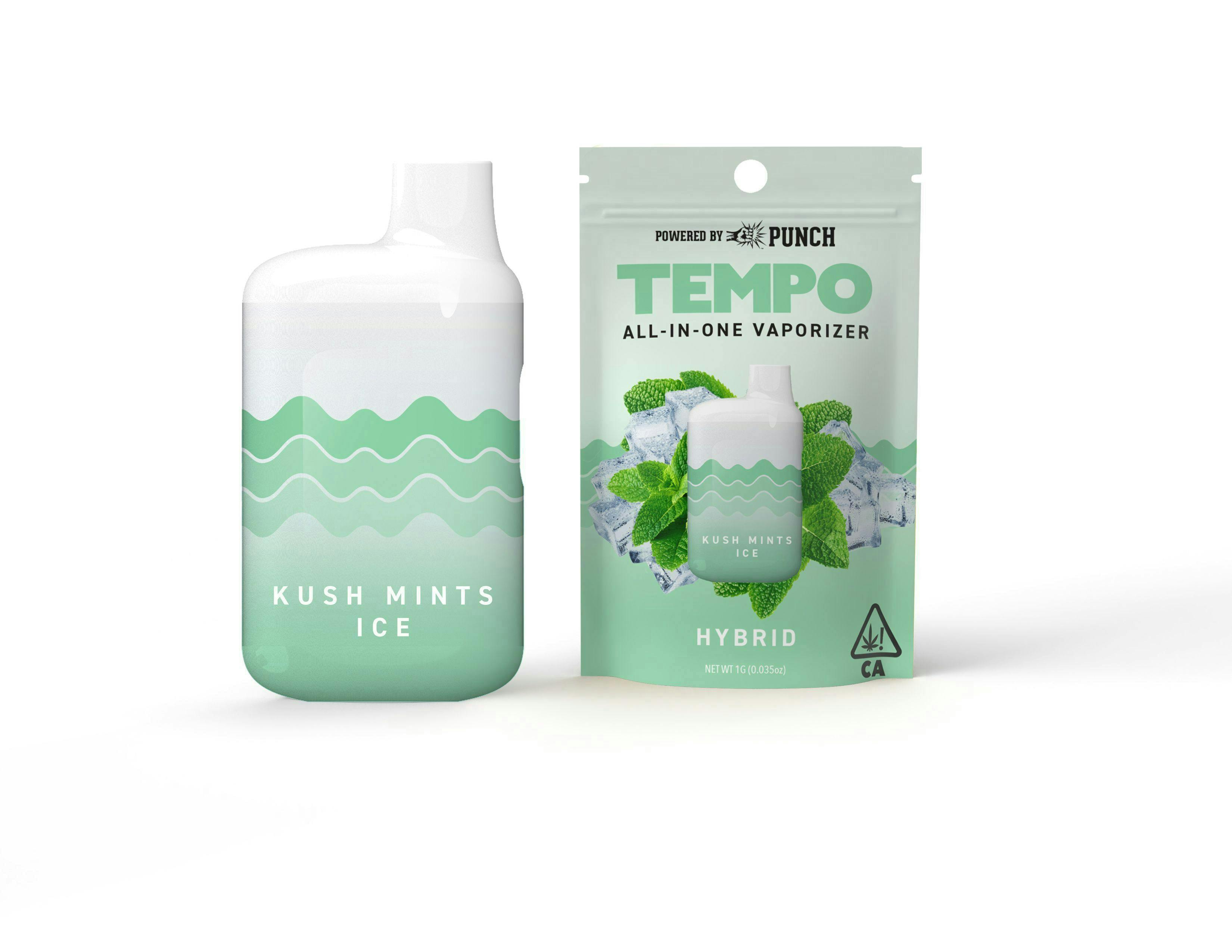 Tempo | Kush Mints Ice | AIO Disposable | 1g - Tempo